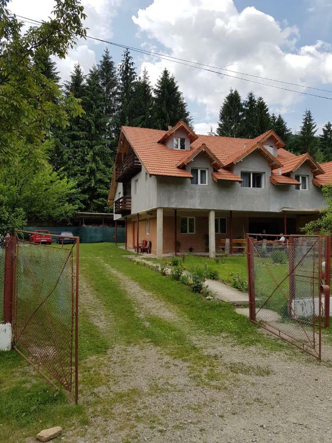 Hotel Cabana Merisor Poiana Mărului Exteriér fotografie